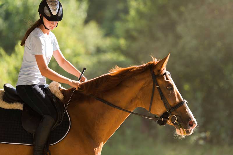 Equine Veterinarian in Hawkinsville, Georgia